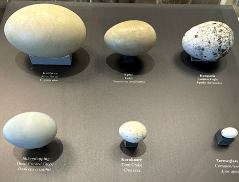 Das Naturum Ottenby auf Öland