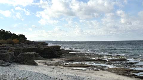 Die Rauken von Byrum auf Öland 120 Rauken auf Öland